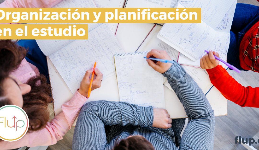 Planificación y organización en el estudio: clave del éxito académico